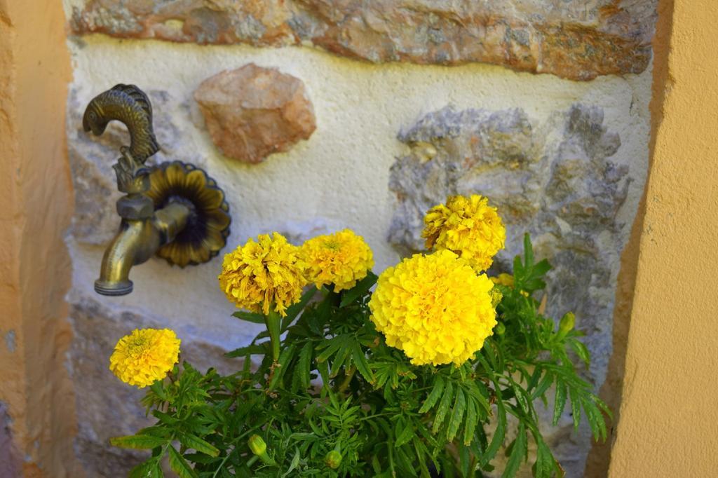 Tilemachos Traditional House Vathy  Exteriör bild
